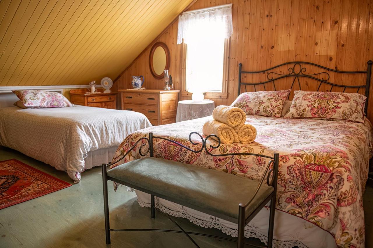グランド・ベルジュロンヌ Bed & Cafe Petit Papillon Bed & Breakfast エクステリア 写真