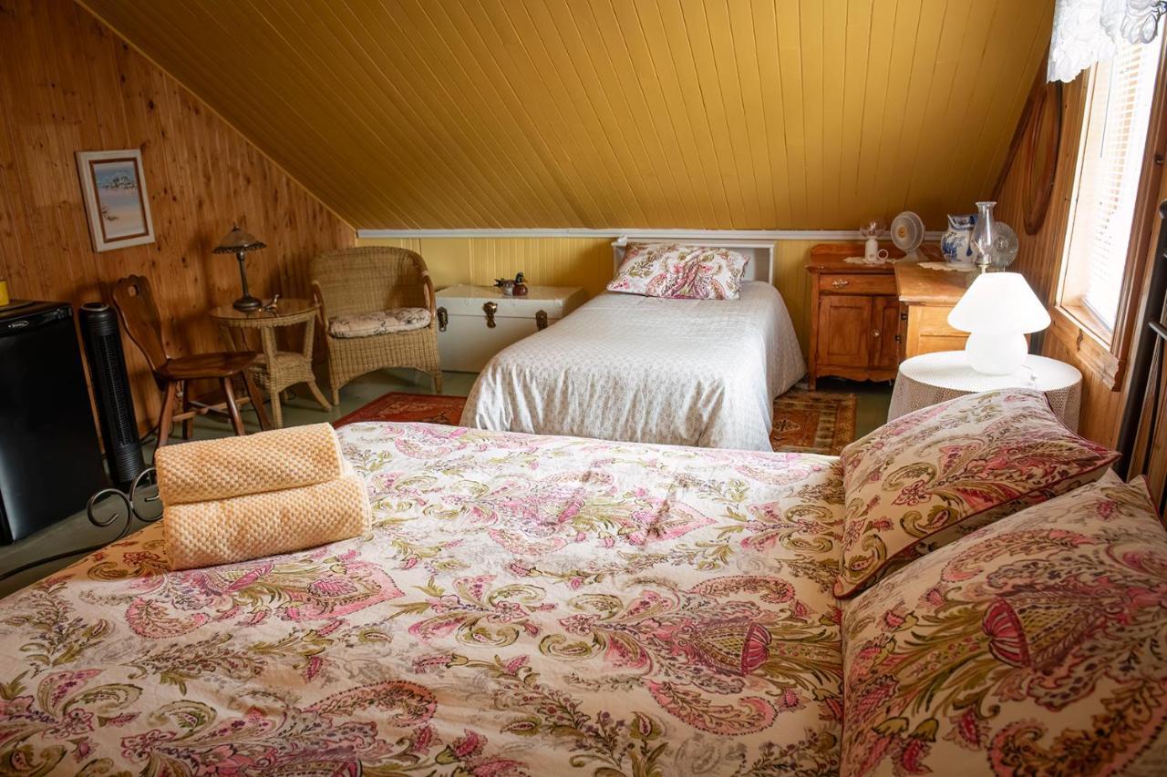 グランド・ベルジュロンヌ Bed & Cafe Petit Papillon Bed & Breakfast エクステリア 写真